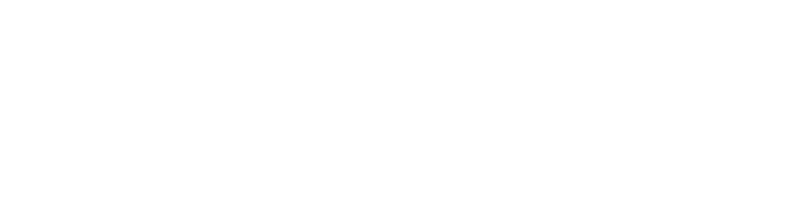 Insurance Provider Logo
