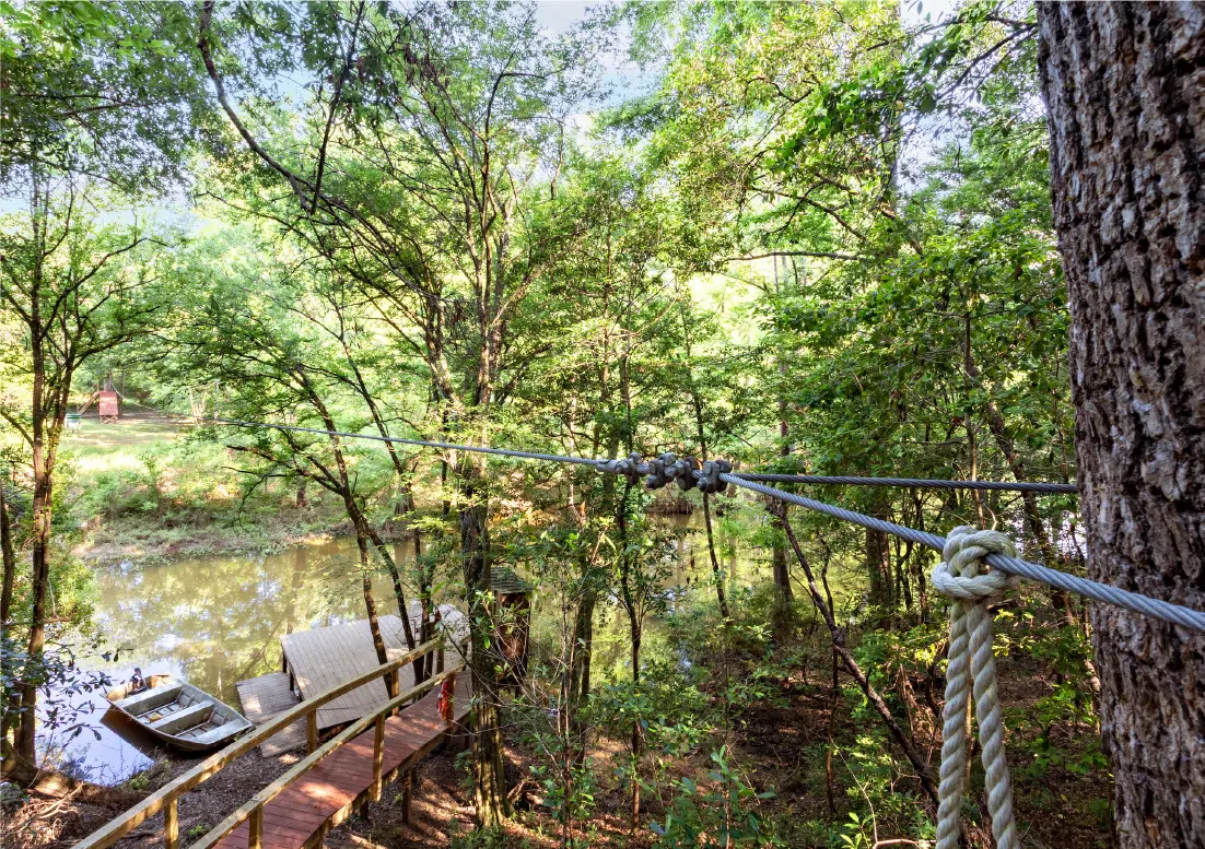 Nature-Based Therapies