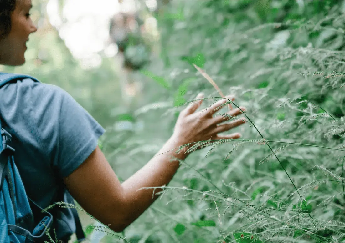 Nature-Based Experiential Therapy