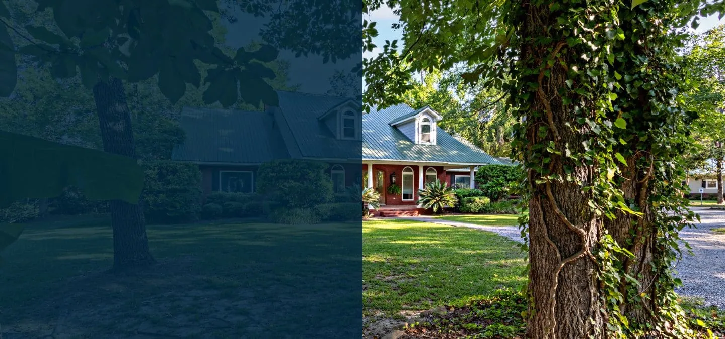 Our Residential Treatment Campus