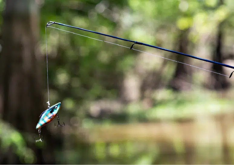 Nature-Based Experiential Therapy